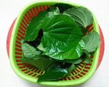 Hình bước làm 2 của món Chả Lá Lốt Cuốn Đậu Hủ Chay