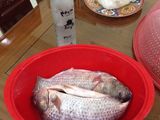 Ruốc cá