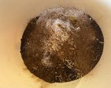 Mákos-meggyes rácsos recept fázis 2 fotója
