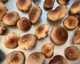 Foto del paso 6 de la receta: Lomos de merluza gratinados al vermut con setas shiitake al ajillo