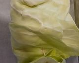 Foto del paso 4 de la receta: Envuelto de col vegetal