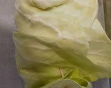Foto del paso 4 de la receta: Envuelto de col vegetal