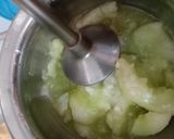A picture of step 4 of Muskmelon cooler.