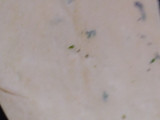 બટર રોટી (Butter Roti Recipe In Gujarati)