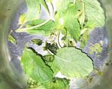 મિન્ટેડ ખસ મોકટેલ(Mint Mocktail Recipe in Gujarati) રેસીપી સ્ટેપ1ફોટો