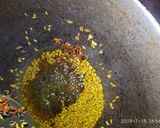 A picture of step 1 of Pumpkin and raw mango sabji.