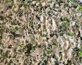 Une image de l'étape 1 de Samoussas petits pois, menthe et feta.