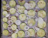 A picture of step 2 of Baked White Zucchini and Onion Frittata 🌷.