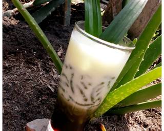 Es Cendol Katuk - Step 8