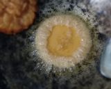 Foto langkah ke 3 dari resep Kue Cucur (Gula Merah).