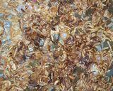 A picture of step 3 of Koshari Arabic dish 😋.
