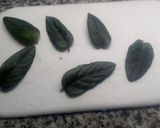 Foto del paso 1 de la receta: Hojas de chocolate otoñales