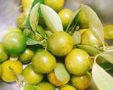 Hình bước làm 1 của món Nước tắc xí muội