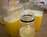 Foto langkah ke 2 dari resep Fruit Pressed Juice.