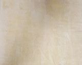 Foto del paso 3 de la receta: Strudel de manzana y pasas (principiantes)