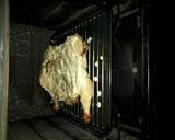 Foto del paso 8 de la receta: Pollo al horno