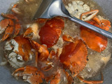 Kepiting Saus Padang