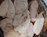Foto del paso 1 de la receta: Pollo al champiñón