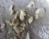 Foto del paso 1 de la receta: Pan lactal con manzana y canela💛