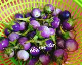 Hình bước làm 1 của món Cà pháo ngâm mắm nêm