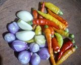Foto langkah ke 3 dari resep Terong Tempe Goreng Tepung Garo Rica Pete.