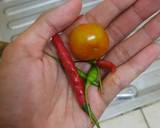 Sambel Penyet / Sambel Ayam Goreng Simple