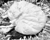 A picture of step 2 of Strawberry (Fruit) shrikhand.