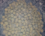A picture of step 2 of Peanut.