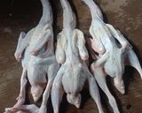Foto langkah ke 1 dari resep 114. Lalapan bebek.