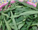 Foto langkah ke 1 dari resep Gulai Daun Singkong ala Minang.