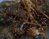 Foto langkah ke 1 dari resep Lobster saos padang.