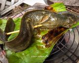 รูปขั้นตอนการทำที่ 2 ของ ปลาดุกย่างเตาถ่าน