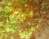 A picture of step 2 of Garadoo veg.