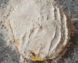 Foto del paso 2 de la receta: Sopaipillas ydk🇨🇱🇩🇴🇨🇱🇩🇴🇨🇱