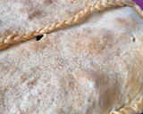Foto del paso 10 de la receta: Empanada de pollo con foie gras de pato