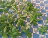 Foto do passo 1 de Molho pesto