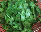 Hình bước làm 1 của món Gà Chanh ớt