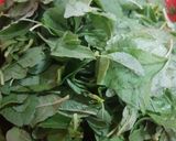 A picture of step 1 of Cholai ka saag (Amaranth loaves).