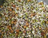 A picture of step 4 of Mix sprouts sweet potato salad.