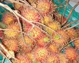 Foto langkah ke 1 dari resep Asinan rambutan segar.