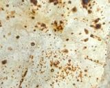 छाछ वाली रोटी(chaas roti recipe in hindi) रेसिपी चरण 1 फोटो
