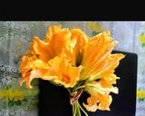 A picture of step 1 of Pumpkin Flower Chops.