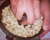 Foto del paso 19 de la receta: Tamalitos de frijol (siete cueros) y pozol (bebida)