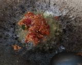 Foto langkah ke 3 dari resep Ayam Kecap Pedas Manis.