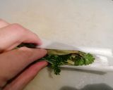 Une image de l'étape 1 de Potée maison.