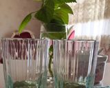 عکس مرحله 1 از دستور دالگونا پسته‌ای