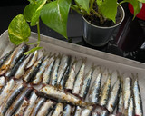 Foto del paso 3 de la receta: Sardinas al horno con orégano 🌿 y miel 🍯