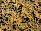مبروشه بلكاسترد على طريقتي طيبه كتيييير