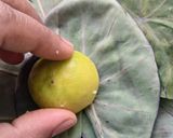 A picture of step 4 of Colocasia Leaves/Patod/Patra/Arbi ke patte.