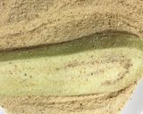 Foto del paso 2 de la receta: 🍆Berenjenas a la napolitana🍅🧀 | Receta Vegetariana